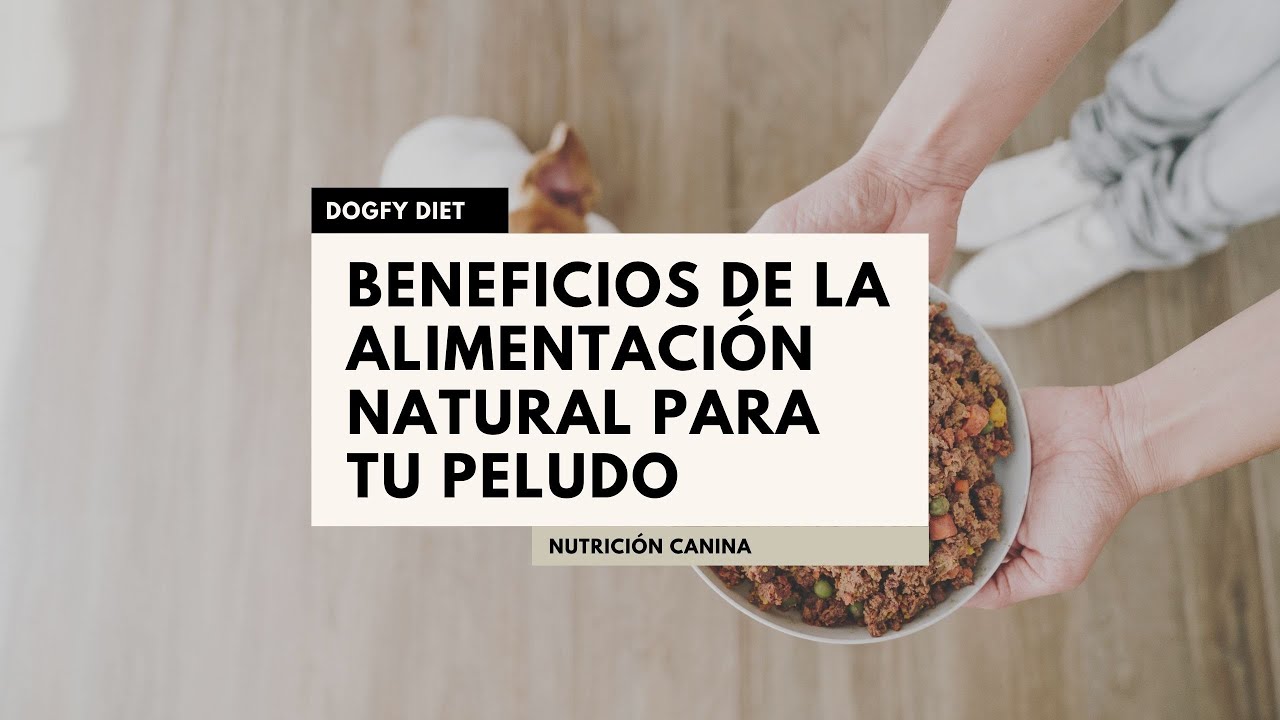 Mejora la salud de tu mascota con la comida natural para perros