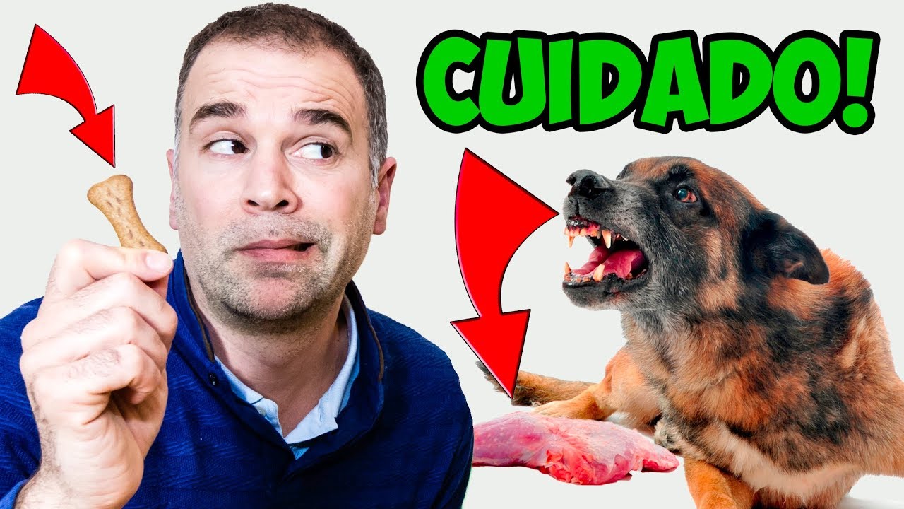 Mi perro se vuelve loco por la comida y la empuja
