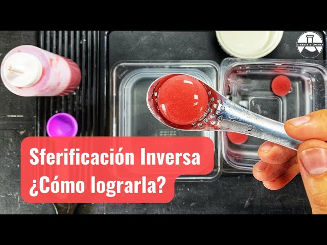Prepara deliciosas esferas de comida en casa